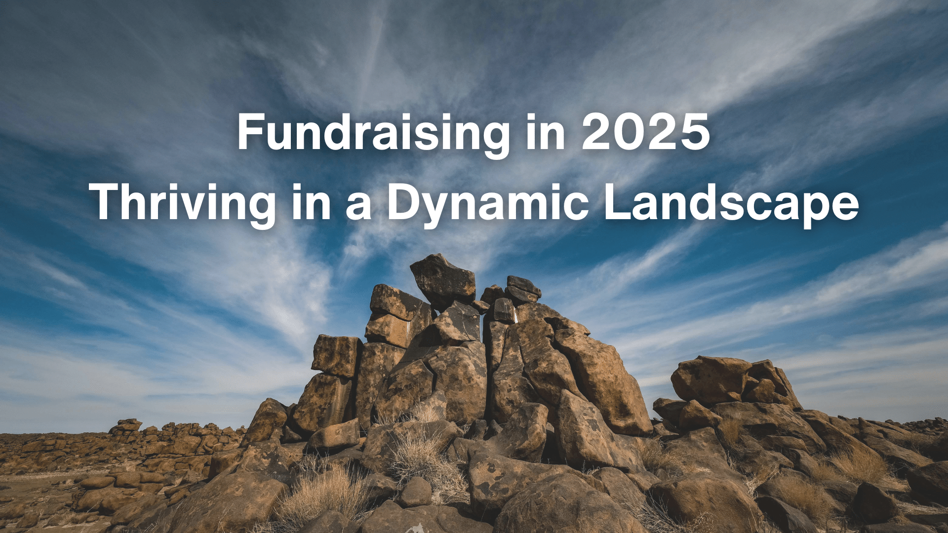 Windmill Hill Consulting 2025 Fundraising